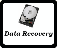 Data Recovery and Backup Services